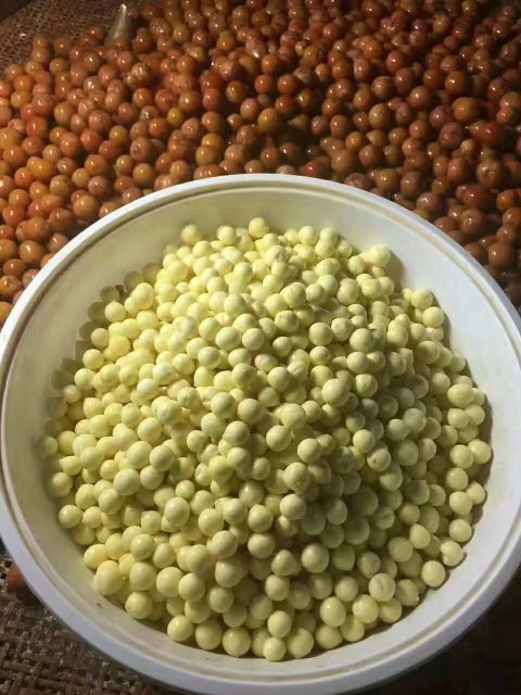 苏州限定！这颗 “水中珍珠” 凭啥称霸