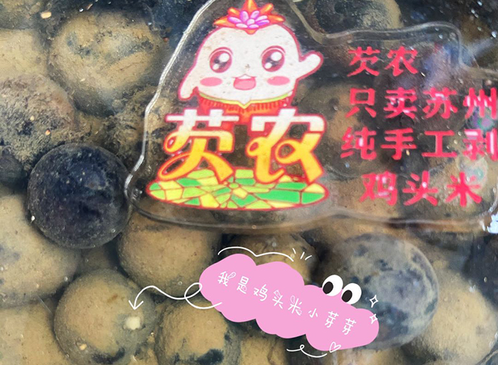 2020年苏州鸡头米种植基地育苗工作已经开始
