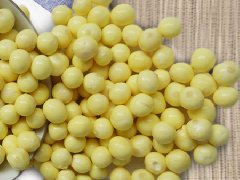 苏州哪里能买到比较正宗的鸡头米？