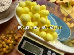 苏州鸡头米是芡实吗？3分钟搞懂两者的区别与吃法！