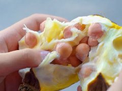 探秘吴中鸡头米：水乡明珠，舌尖瑰宝