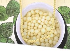 2025 苏州鸡头米抢 “鲜” 上市，水乡美味正当时