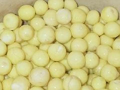 苏州鸡头米哪个季节上市？探秘水乡珍馐的时令密码
