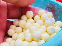 为什么上海人都喜欢苏州鸡头米？从味觉