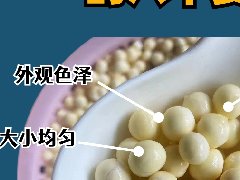 正宗苏州鸡头米有哪些特征