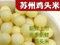25 年苏州鸡头米上市后礼盒装哪里有卖