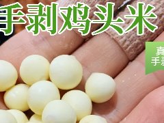 苏州南荡鸡头米的品质如何